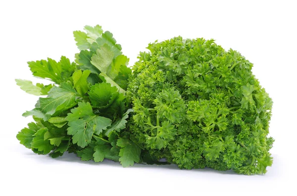 Bunch of green — Stock Photo, Image