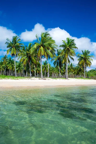 Tropisk strand med blå lagun — Stockfoto