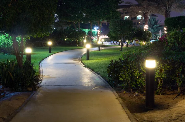 Estrada noturna no jardim — Fotografia de Stock