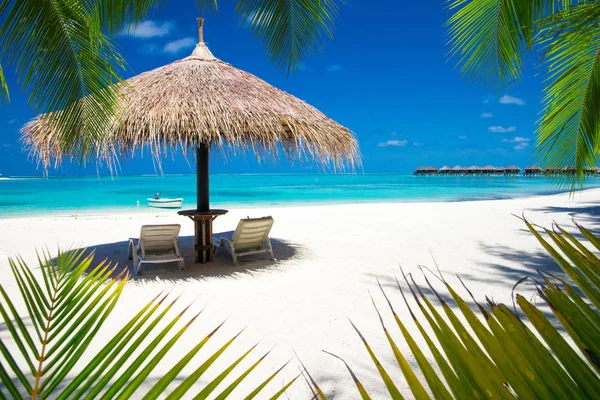 Tropisch strand met blauwe lagune — Stockfoto