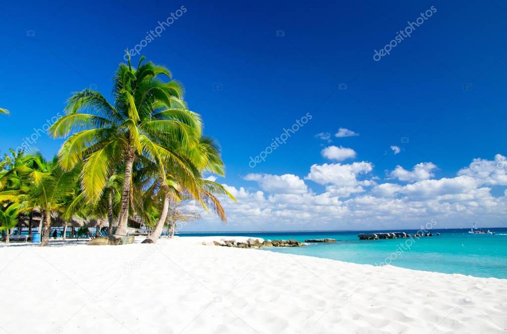 tropical beach with blue lagoon