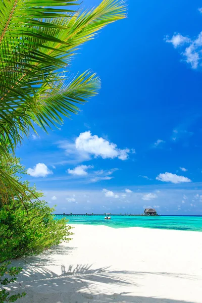 Тропический пляж с голубой лагуной — стоковое фото