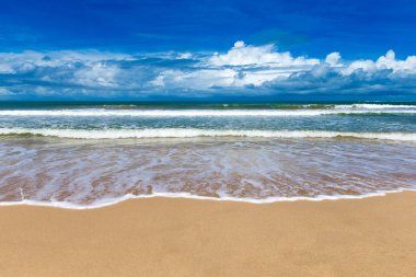 Maldivler 'deki tropik plaj  