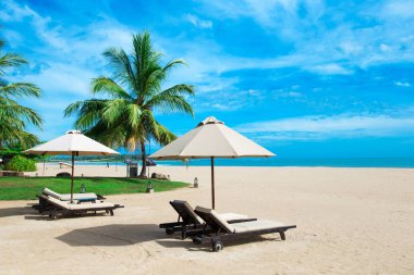 Maldivler 'deki tropik plaj  