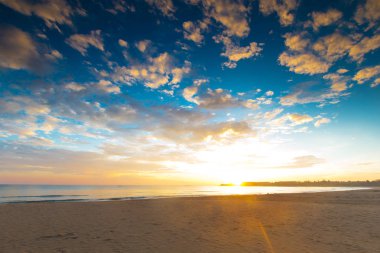 Maldivler 'deki tropik plaj  