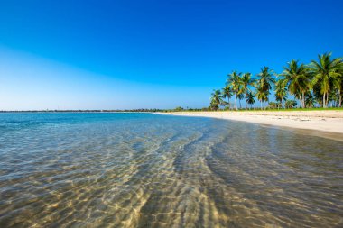 Maldivler 'deki tropik plaj  