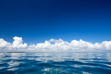 Maldivler 'deki tropik plaj  