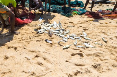 Yerel balıkçılar Balık ağı Hint Okyanusu çekin.