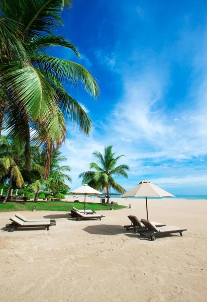 Tropical beach in Maldives — Stock Photo, Image