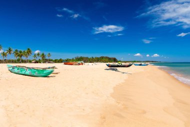 Maldivler 'deki tropik plaj  