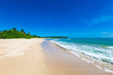 Maldivler 'deki tropik plaj  