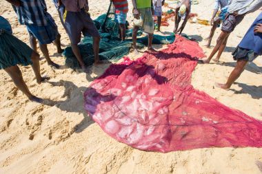 Yerel balıkçılar Balık ağı Hint Okyanusu çekin.