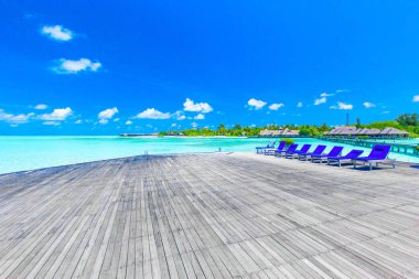 Maldivler 'deki tropik plaj  