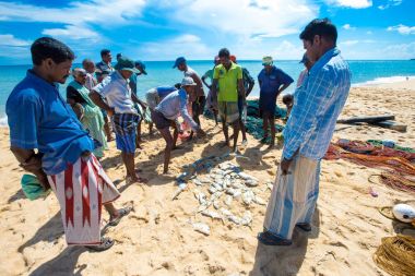 Yerel balıkçılar Balık ağı Hint Okyanusu çekin.