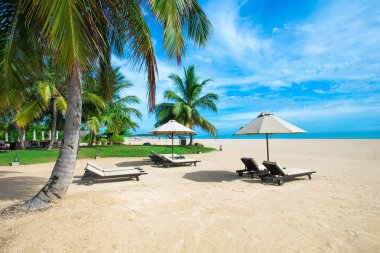 Maldivler 'deki tropik plaj  