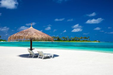 Maldivler 'deki tropik plaj 