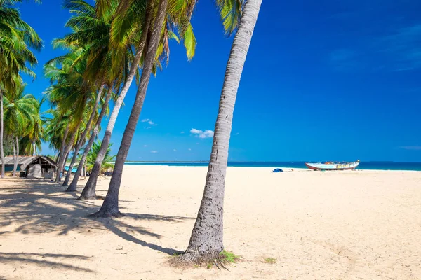 Tropischer Strand auf den Malediven — Stockfoto