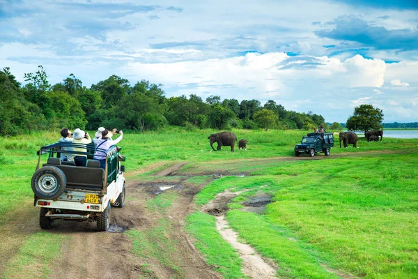 Minneriya, Sri Lanka — Stock Photo, Image