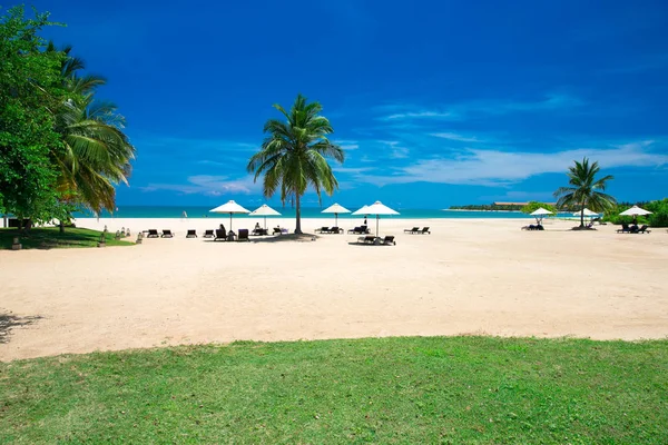 Playa tropical en Maldivas — Foto de Stock