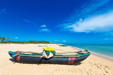  plaj ve tropikal deniz