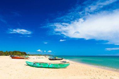  plaj ve tropikal deniz