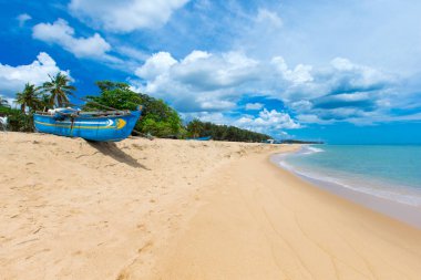  plaj ve tropikal deniz