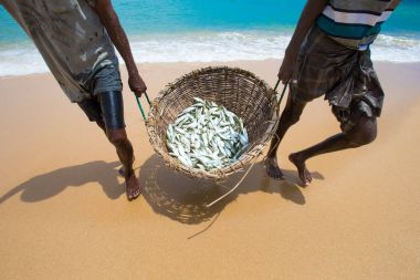 fishermen pull a fishing net in Sri Lanka clipart