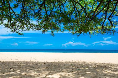  plaj ve tropikal deniz