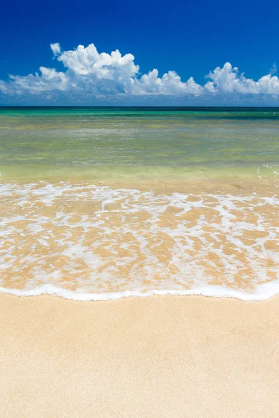 Strand en tropische zee — Stockfoto