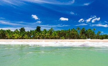  plaj ve tropikal deniz