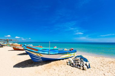  plaj ve tropikal deniz