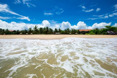 palmiye ağaçları içinde tropikal plaj 