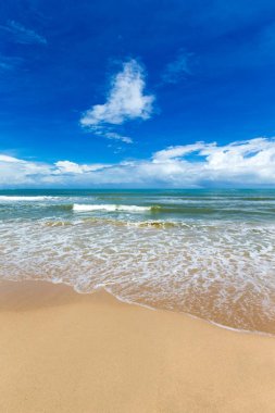  plaj ve tropikal deniz