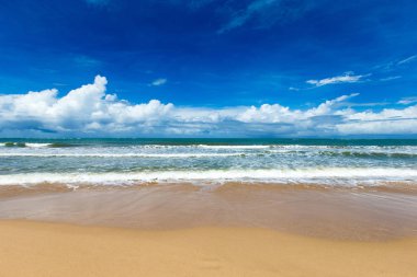  plaj ve tropikal deniz