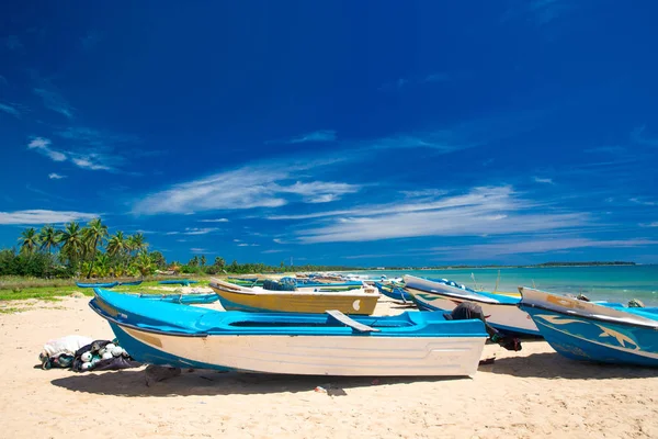  plaj ve tropikal deniz