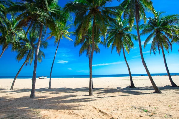 Tropikalnej plaży, w cieniu palm — Zdjęcie stockowe