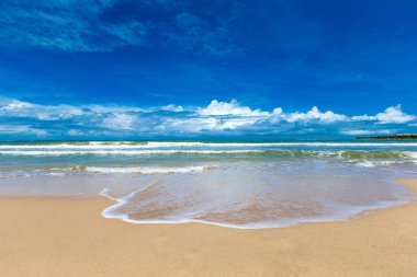 plaj ve tropikal deniz