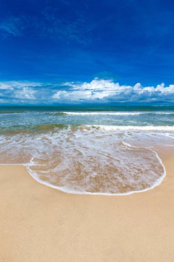 plaj ve tropikal deniz