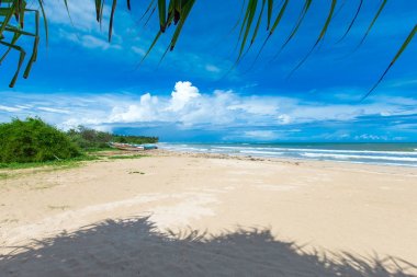 plaj ve tropikal deniz