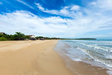 plaj ve tropikal deniz