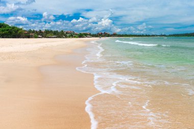 plaj ve tropikal deniz