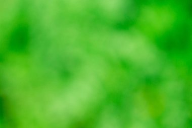 Yeşil çim şablon bulanık