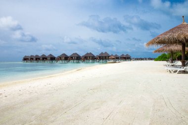 plaj ve tropikal deniz