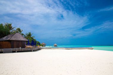 Maldivler 'deki tropik plaj
