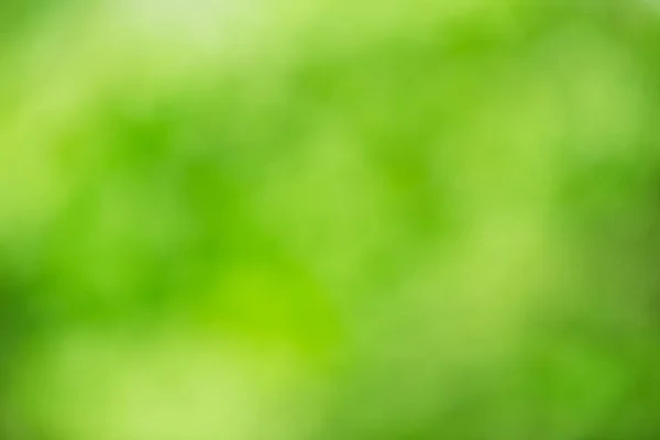 Grüne unscharfe Grasschablone — Stockfoto