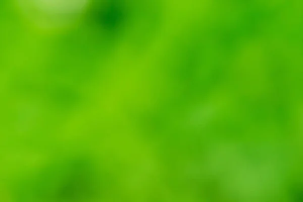 Grüne unscharfe Grasschablone — Stockfoto