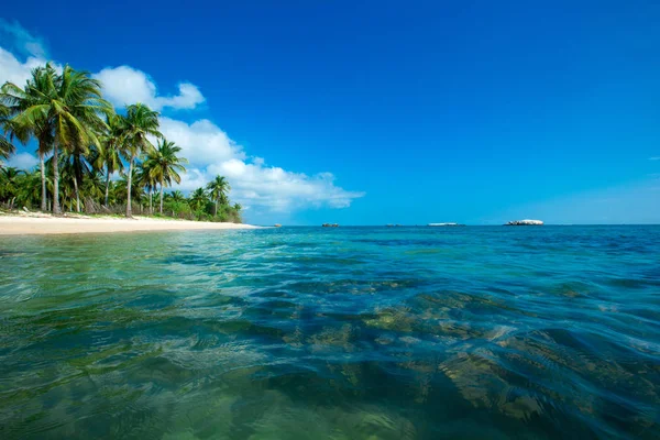 Orörd tropisk strand — Stockfoto