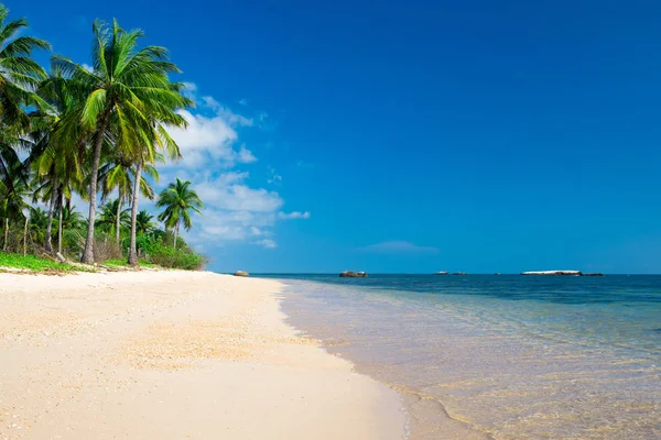 Playa tropical intacta — Foto de Stock