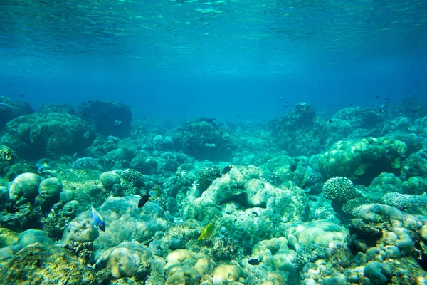 Paisaje mundo submarino — Foto de Stock