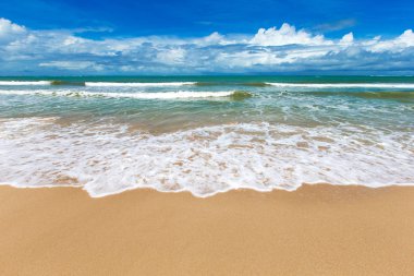 plaj ve tropikal deniz